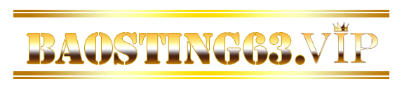 logo-baosting63